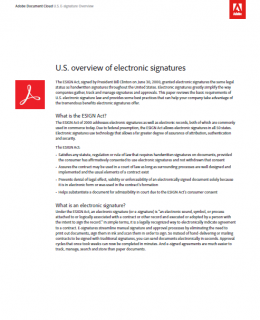 US Overview of Electronic Signatures 260x320 - U.S. Overview of Electronic Signatures