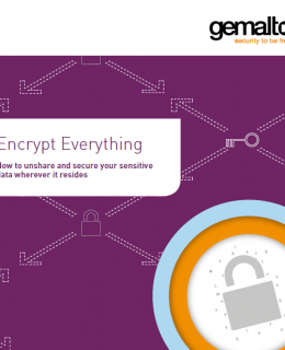 474818 EncryptEverything eB EN v10 web Cover 260x320 - Encrypt Everything