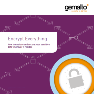 474818 EncryptEverything eB EN v10 web Cover 300x300 - Encrypt Everything