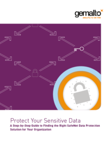 474819 EncryptEverything Guidebook EN 04Sep2015 210x280 v9 web Cover 224x300 - Protect Your Sensitive Data