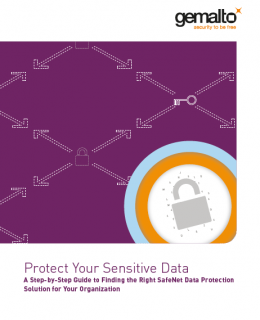 474819 EncryptEverything Guidebook EN 04Sep2015 210x280 v9 web Cover 260x320 - Protect Your Sensitive Data