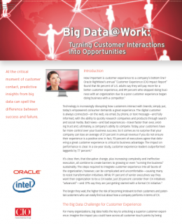 Big Data @ Work: Turning Customer Interactions into Opportunities