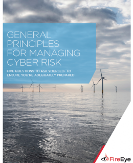 482823 wp managing cyber risk Cover 260x320 - General Principles for Managing Cyber Risk