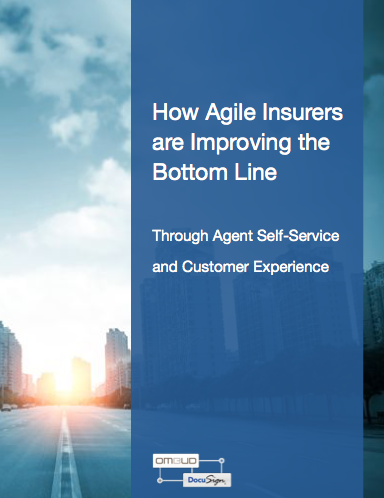 Screen Shot 2016 11 14 at 11.19.15 PM - How Agile Insurers are Improving the Bottom Line