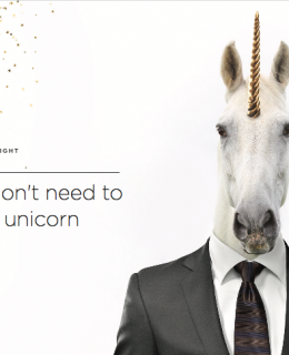 Screen Shot 2017 01 12 at 11.43.23 PM 260x320 - You don't need to hire a unicorn