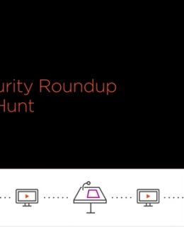 Cyber Security roundup with Troy Hunt