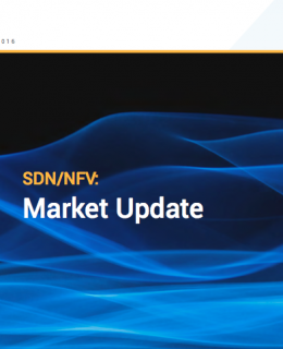 NFV & SDN: Report
