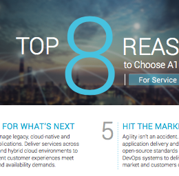 Top 8 Reasons To Choose A10