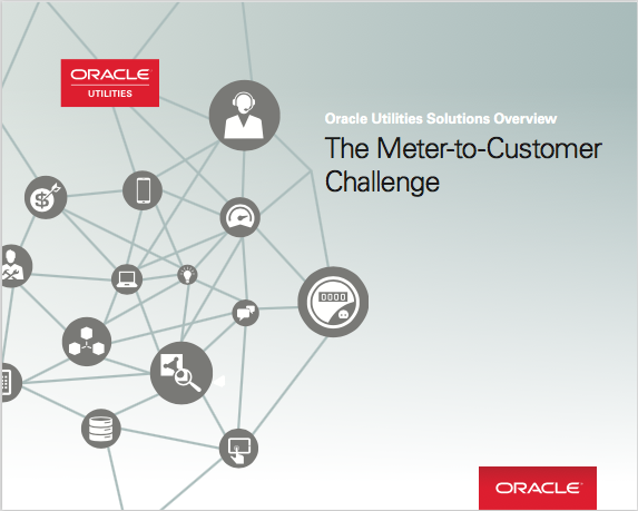 Screen Shot 2017 04 07 at 12.37.19 AM - Oracle Utilities Solutions Overview - The Meter-to-Customer Challenge