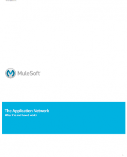 The Application Network