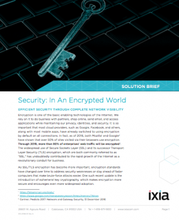 Security: In An Encrypted World