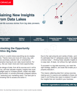 Gaining New Insights From Data Lakes