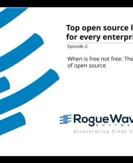 On-Demand Webinar: When is free not free: The true costs of open source