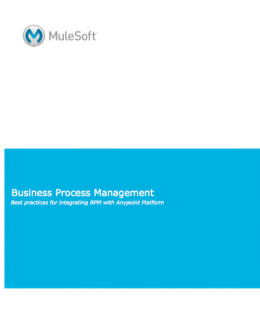 Screen Shot 2018 01 16 at 12.11.40 AM 260x320 - Business Process Management (BMP)