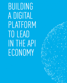 Screen Shot 2018 01 16 at 12.28.08 AM 260x320 - Building a Digital Platform to Lead in the API Economy