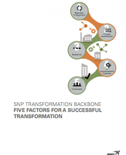 Screen Shot 2018 01 17 at 8.24.18 PM 260x320 - 5 Factors for Successful SAP Transformation: SNP Transformation Backbone