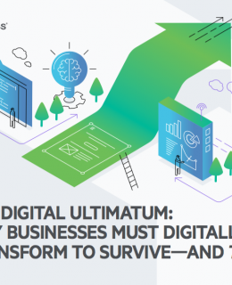 Screen Shot 2018 02 08 at 1.19.37 AM 260x320 - The Digital Ultimatum: Why Businesses Must Digitally Transform to Survive And Thrive