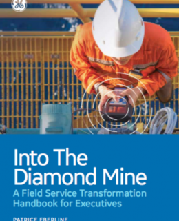 Screen Shot 2018 02 23 at 2.54.05 PM 260x320 - Into The Diamond Mine - A Field Service Transformation Handbook for Executives
