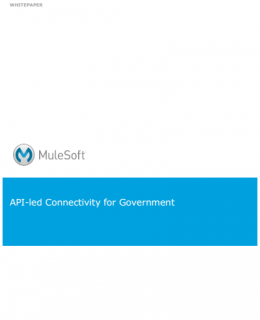 1 5 260x320 - API-led Connectivity for Government