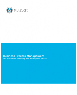 1 7 260x320 - Business Process Management (BMP)