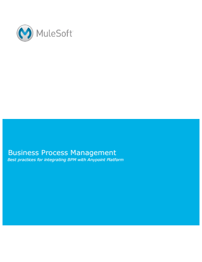 1 7 - Business Process Management (BMP)