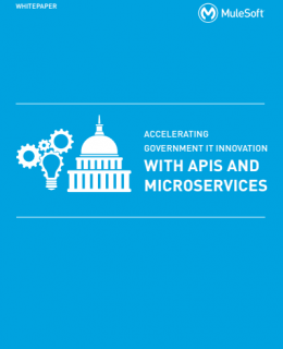 2 4 260x320 - Accelerating Government IT Innovation with APIs and Microservices