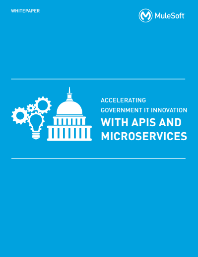 2 4 - Accelerating Government IT Innovation with APIs and Microservices