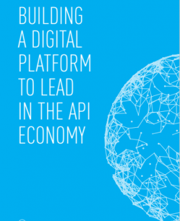 3 4 260x320 - Building a Digital Platform to Lead in the API Economy