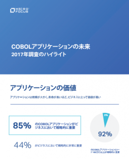 JAPANESE – THE FUTURE OF COBOL APPLICATIONS