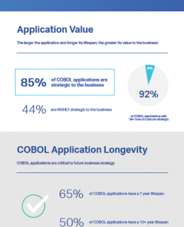 COBOL_the_future_of_cobol_applications_2017_survey_highlights