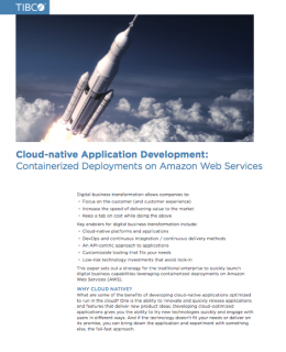 Screen Shot 2018 11 15 at 8.53.59 PM 260x320 - Cloud-native Application Development: Containerized Deployments on Amazon Web Services