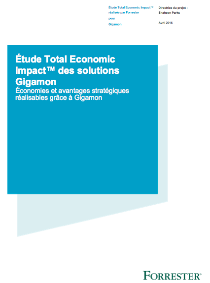 Screen Shot 2018 11 20 at 11.02.52 PM - Étude Total Economic Impact™ des solutions Gigamon Économies et avantages stratégiques réalisables grâce à Gigamon