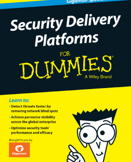 bk security delivery platform for dummies cover 260x320 - Security Delivery Platforms for Dummies