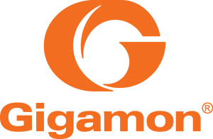 gigamon logo 300x196 - Sécurité à la vitesse de votre réseau