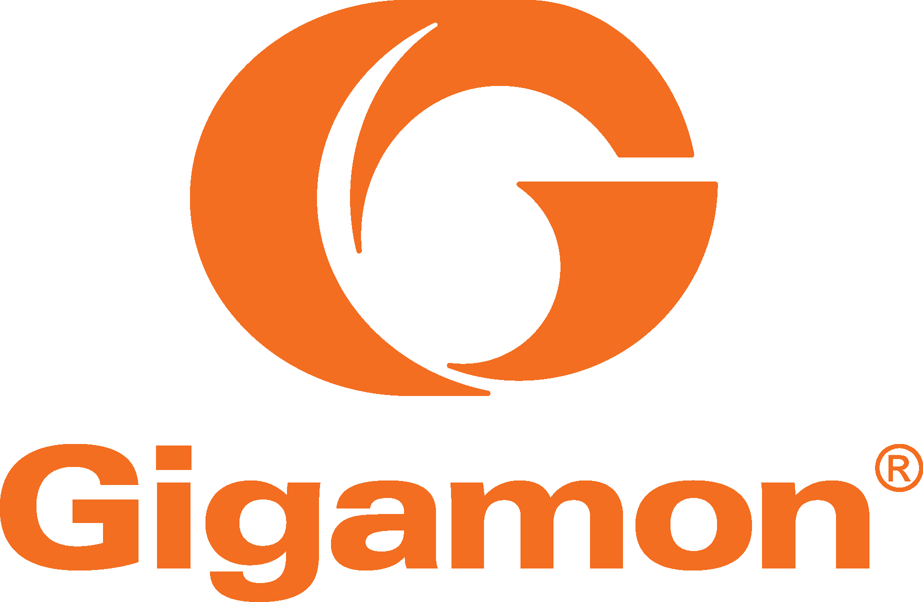 gigamon logo - ESG Research Report
