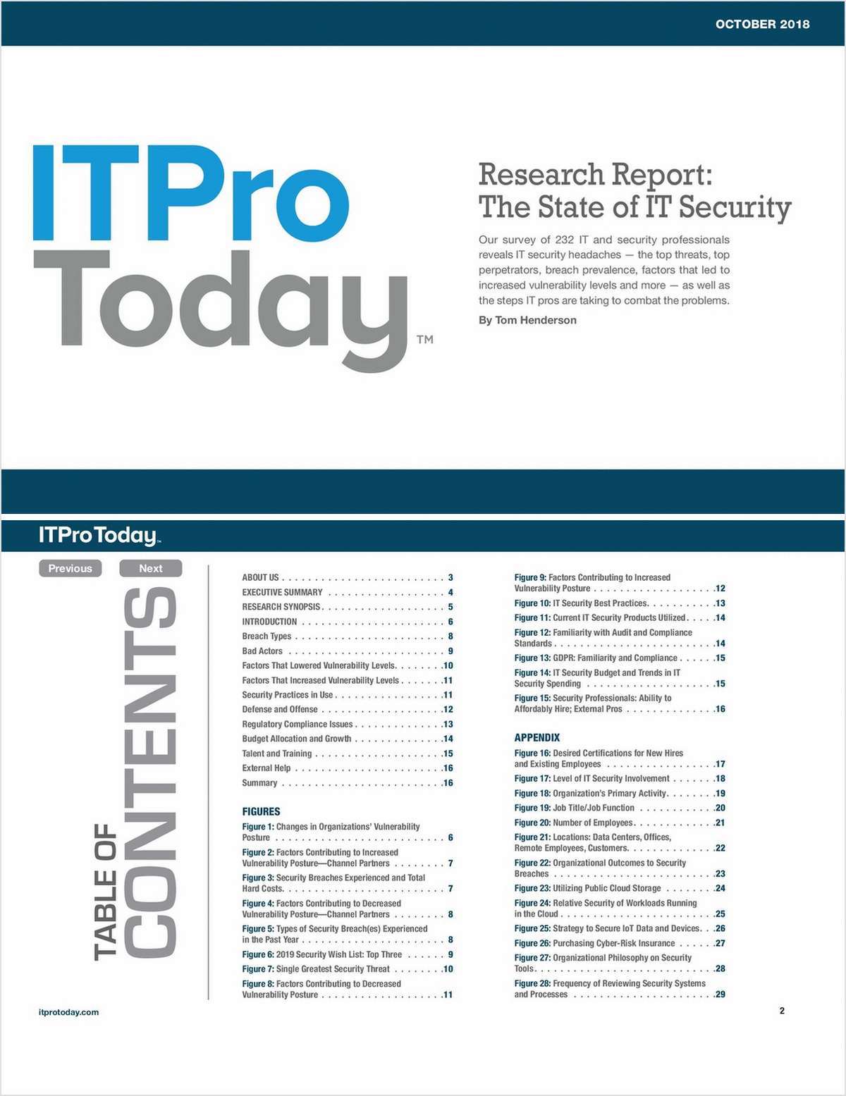 Research Report: The State of IT Security