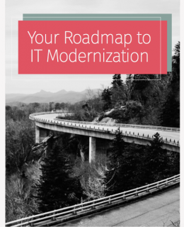 Screen Shot 2019 01 16 at 11.44.52 PM 260x320 - Your Roadmap to Government IT Modernization