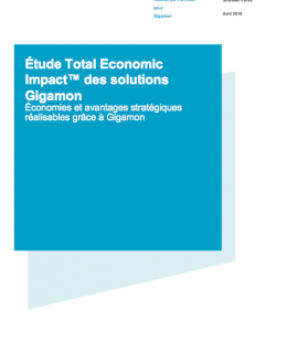 Screen Shot 2019 01 22 at 3.48.51 PM 260x320 - Étude Total Economic Impact™ des solutions Gigamon Économies et avantages stratégiques réalisables grâce à Gigamon