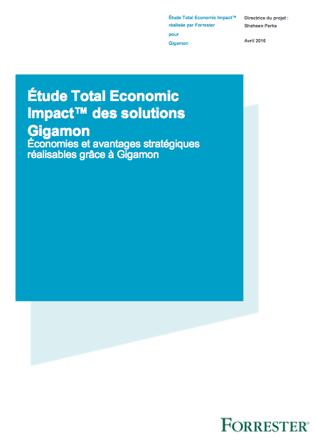 Screen Shot 2019 01 22 at 3.48.51 PM - Étude Total Economic Impact™ des solutions Gigamon Économies et avantages stratégiques réalisables grâce à Gigamon