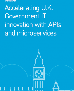 Screen Shot 2019 01 31 at 8.26.26 PM 260x320 - Accelerating UK government IT innovation