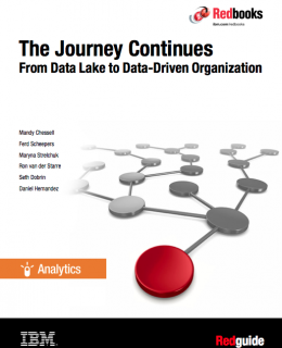 Screen Shot 2019 02 05 at 5.12.13 PM 260x320 - The Journey Continues: From Data Lake to Data-Driven Organization