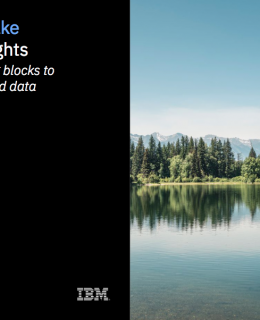 Screen Shot 2019 02 05 at 5.45.09 PM 260x320 - Governed data lake for business insights