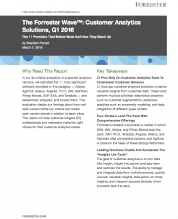 Screen Shot 2019 02 26 at 1.22.36 AM 260x320 - Forrester Wave:  Customer Analytics Solutions 