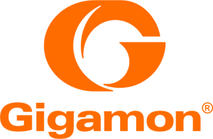 LOGO1 PNG 300x196 - ESG Economic Validation Analyzing the Economic Benefits of Gigamon