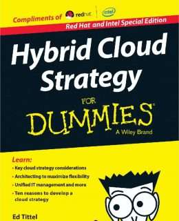 Hybrid Cloud Strategy for Dummies