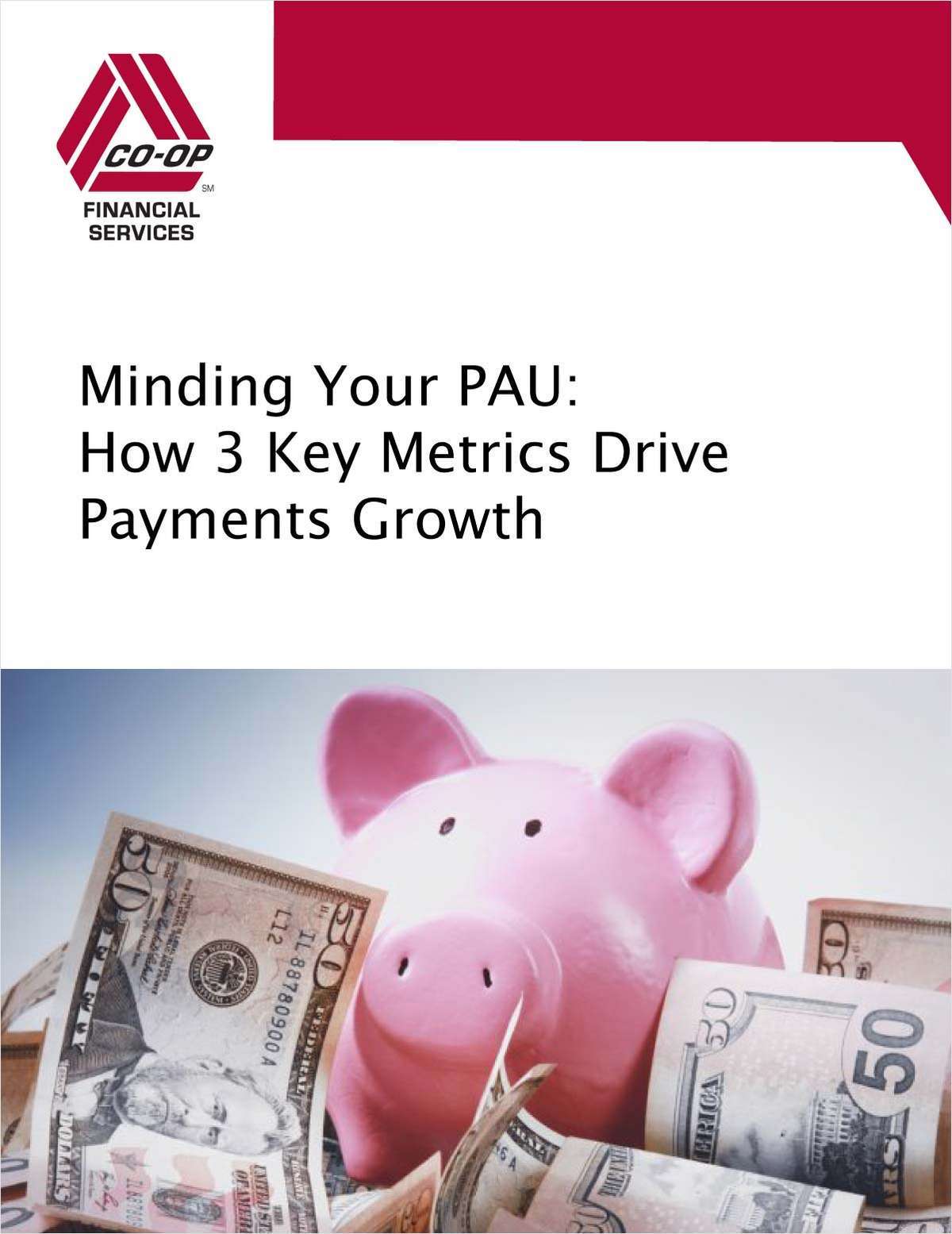 Minding Your PAU: How 3 Key Metrics Drive Payments Growth