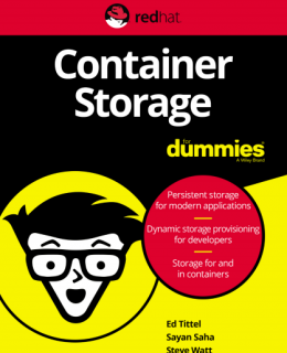 1 7 260x320 - Container Storage for Dummies