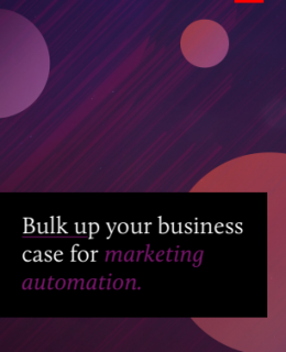 1 8 260x320 - Bulk Up Your Business Case for Marketing Automation