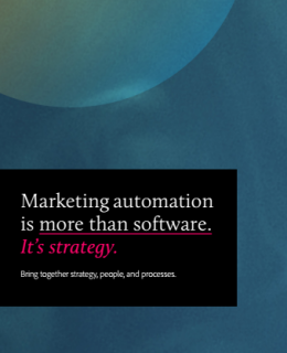 2 5 260x320 - Marketing Automation is more than software