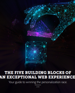2 6 260x320 - 5 Building Blocks of an Exceptional Web Experience